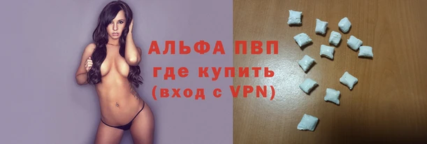 стафф Володарск