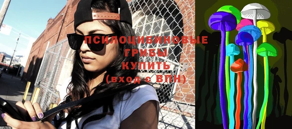 стафф Володарск