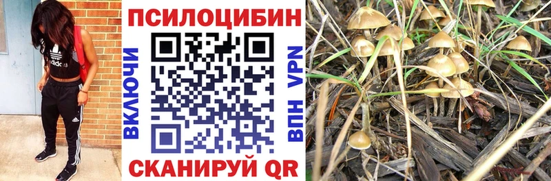 Галлюциногенные грибы MAGIC MUSHROOMS  mega маркетплейс  Печоры  закладки 